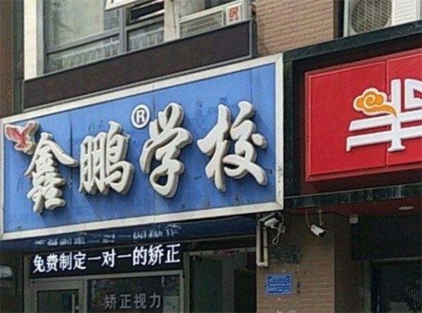 石家庄鑫鹏教育加盟电话及品牌怎么样？