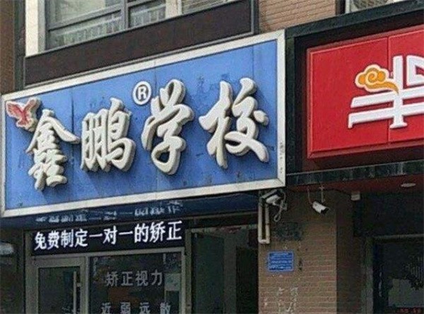 鑫鹏教育石家庄加盟费多少钱?