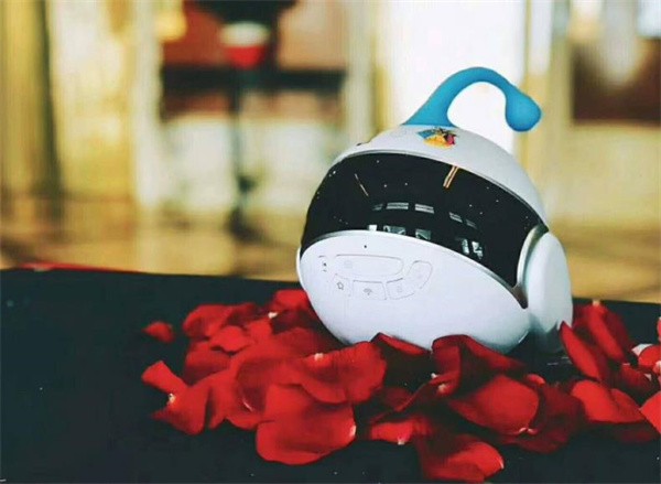 怎么加盟智伴机器人？