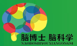  脑贝尔全脑教育