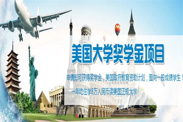 丁丁留学加盟费多少?加盟电话多少?