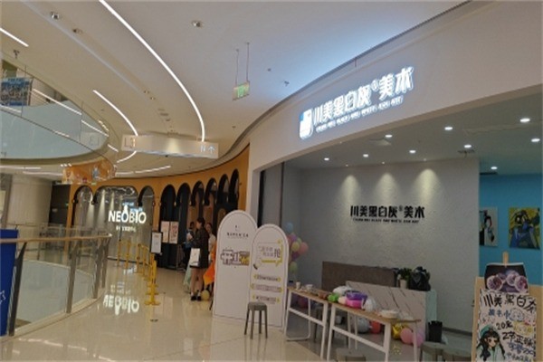 川美黑白灰美术教育加盟条件是什么?加盟费用多少?