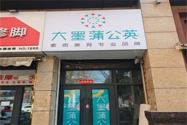 大墨蒲公英加盟费多少?加盟条件有哪些?