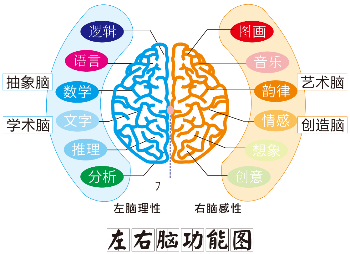 天使全脑加盟