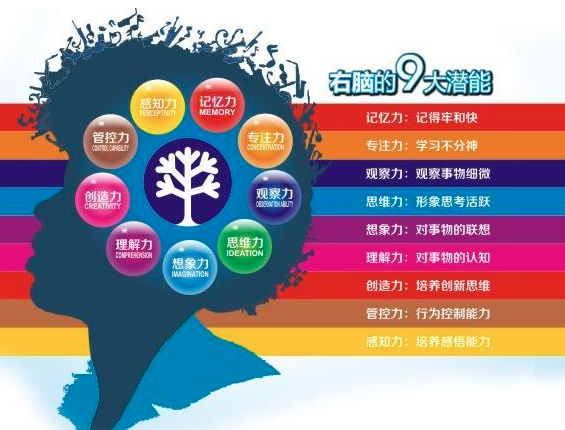 fcf右脑潜能开发