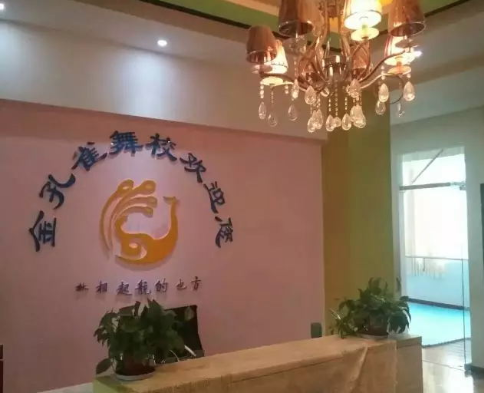 金孔雀艺术培训中心 金孔雀艺术培训中心