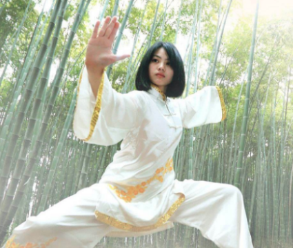 瀚锋太极太极拳 瀚锋太极太极拳