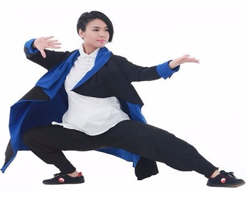 瀚锋太极太极拳 瀚锋太极太极拳