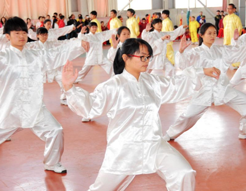 瀚锋太极太极拳 瀚锋太极太极拳