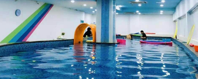 么么家亲子水育早教加盟 么么家亲子水育早教加盟