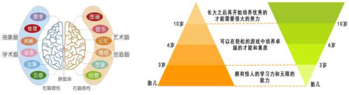 家有儿女全脑开发加盟 家有儿女全脑开发加盟