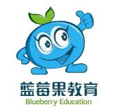 蓝莓果学前班