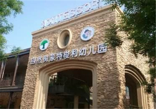 自然树幼儿园 自然树幼儿园
