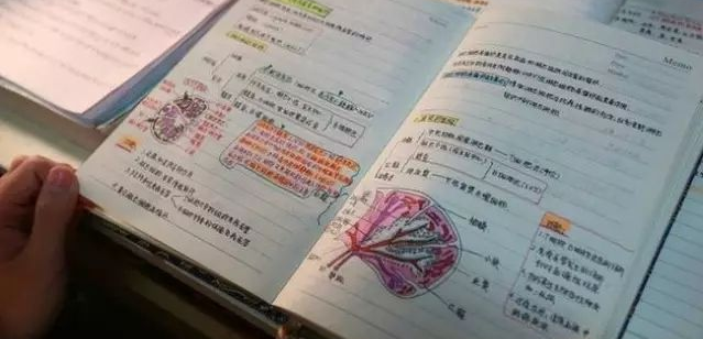优胜个性学加盟 优胜个性学加盟