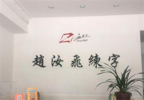 赵汝飞练字 赵汝飞练字
