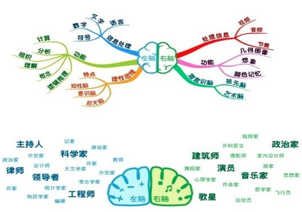 太原全脑开发 太原全脑开发