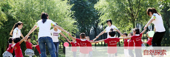 北大青鸟幼儿园加盟