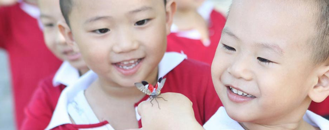 北大青鸟幼儿园加盟