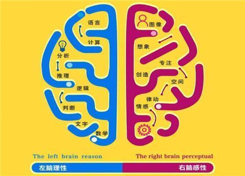 儿童教育机构创业如何选择好项目?