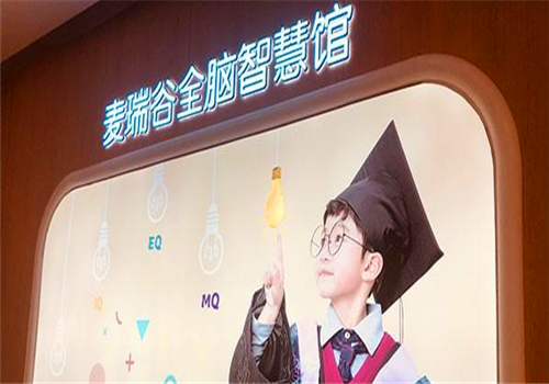 麦瑞谷全脑智慧馆