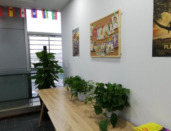 伯乐轩教育加盟