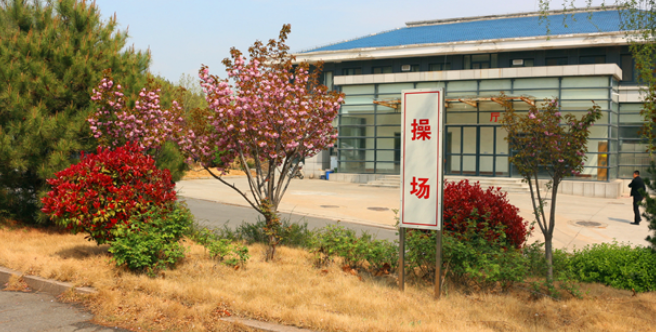 小硬汉训练营加盟 小硬汉训练营加盟