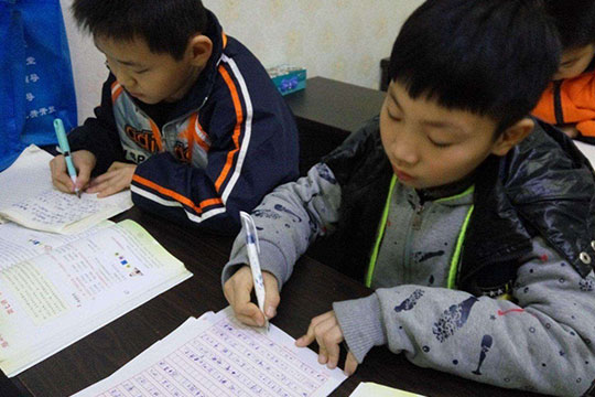五维作文加盟
