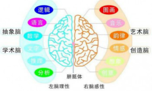 曜光教育加盟