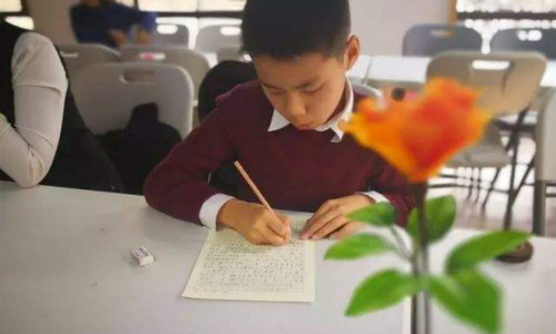 荣上教育加盟 荣上教育加盟