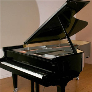 法奇奥里钢琴加盟