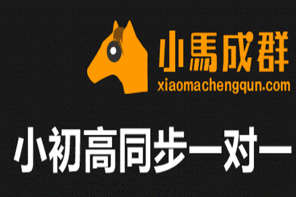 小马成群教育加盟