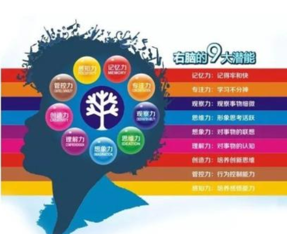 王牌右脑开发加盟