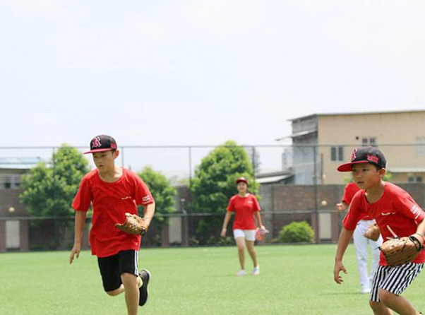 红鹿棒球国际学院加盟