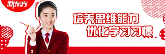 新东方小学数学加盟 新东方小学数学加盟