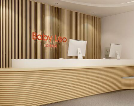 BabyLeo国际托婴中心加盟 BabyLeo国际托婴中心加盟