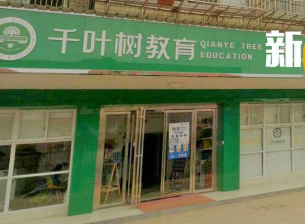 千叶树教育加盟 千叶树教育加盟