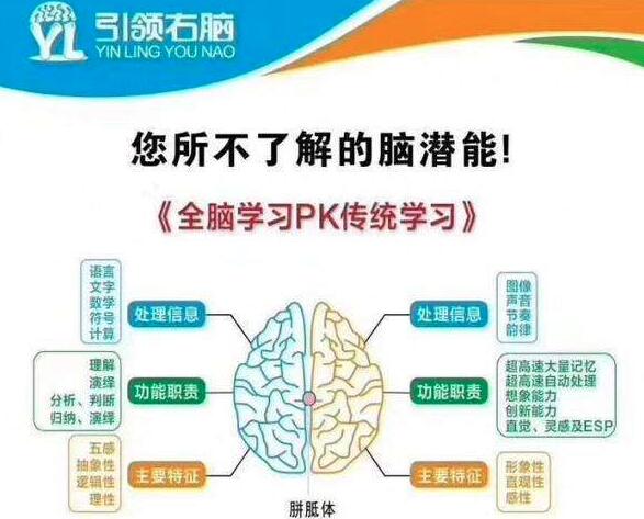 引领右脑加盟 引领右脑加盟