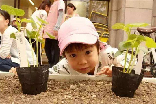 小萝卜早教中心加盟