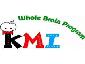 kmi脑力开发