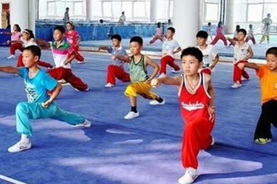 振彪武术加盟