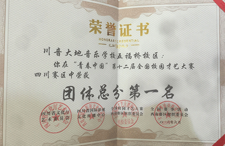 川音大地综艺音乐进修学校加盟 川音大地综艺音乐进修学校加盟