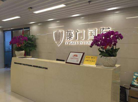藤门国际教育加盟 藤门国际教育加盟