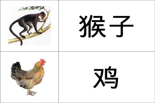 儿童快速识字加盟