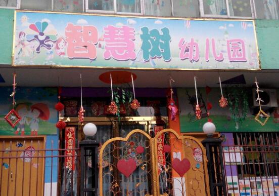 智慧树幼儿园加盟 智慧树幼儿园加盟