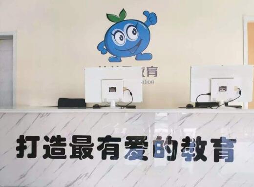 蓝莓果幼小衔接加盟 蓝莓果幼小衔接加盟