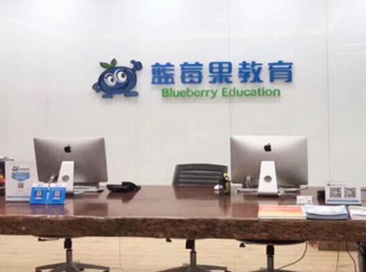 蓝莓果幼小衔接加盟 蓝莓果幼小衔接加盟