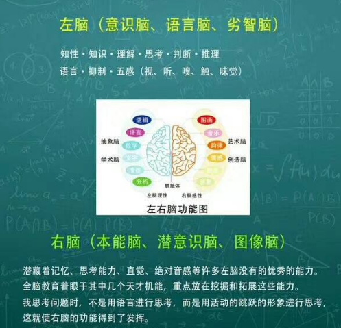 卡睿特国际全脑教育加盟