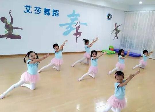 艾莎同学舞蹈加盟 艾莎同学舞蹈加盟