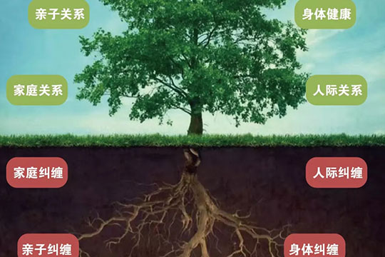 中启心理学加盟 中启心理学加盟