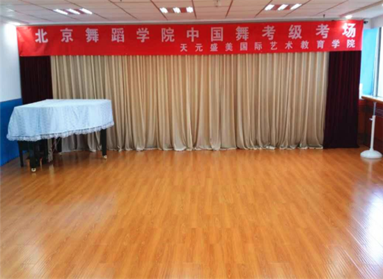 天元盛美国际艺术教育加盟
